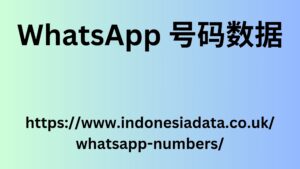 WhatsApp 号码数据